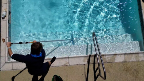 Pool technician providing weekly service in collin county